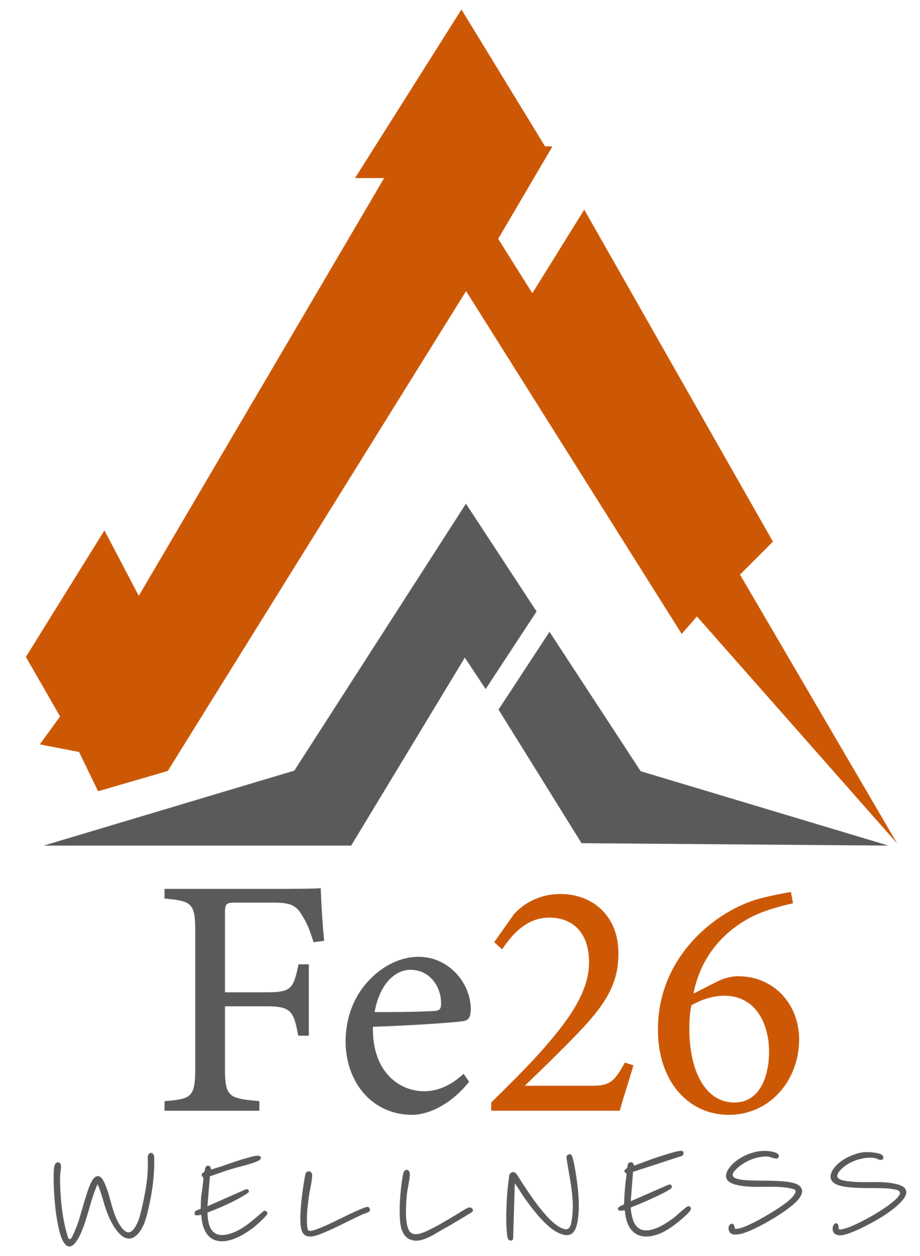 Fe26 Wellness